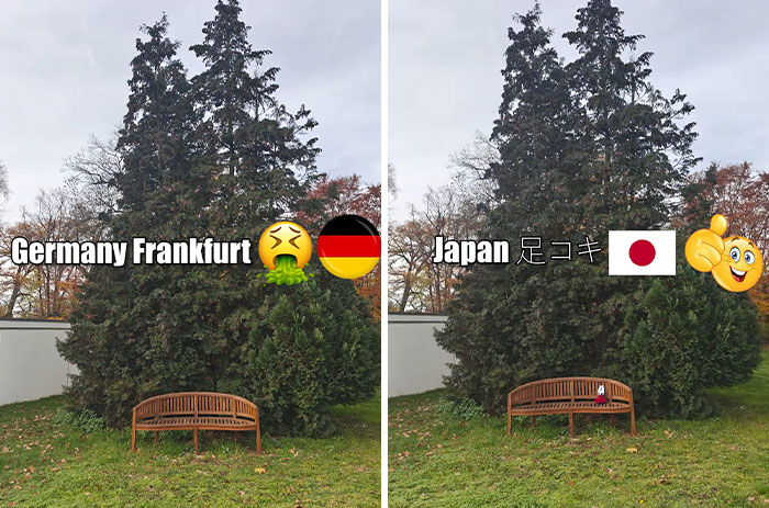 Side-by-side photos of a garden bench and tree, showing how adding Japan makes the scene aesthetically pleasing.