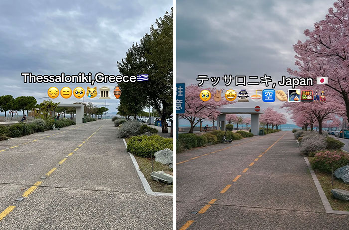 Side-by-side photos showing a pathway with trees, contrasted between Greece and Japan adding Japan for aesthetic appeal.
