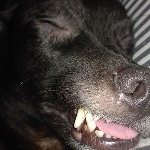 morrisseydaganzo avatar