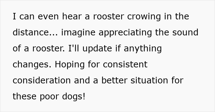 Text about a woman going nuclear on neighbors unable to keep their dogs quiet, hoping for a better situation. Text about a woman going nuclear on neighbors unable to keep their dogs quiet, hoping for a better situation.