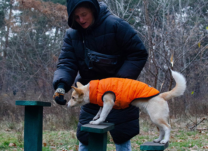Woman in black coat training dog in orange jacket outdoors, addressing neighbors with noisy dogs in quiet neighborhood. Woman in black coat training dog in orange jacket outdoors, addressing neighbors with noisy dogs in quiet neighborhood.