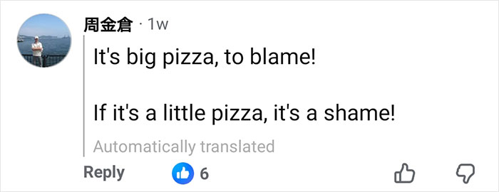Comment on social media about pizza size related to restaurant owner facing backlash over tourists sharing pizzas. Comment on social media about pizza size related to restaurant owner facing backlash over tourists sharing pizzas.