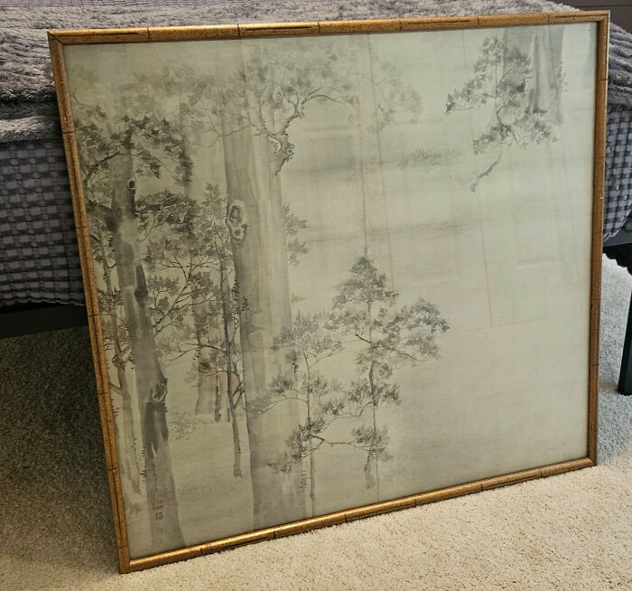 Gorgeous In Person. Goodwill/40$