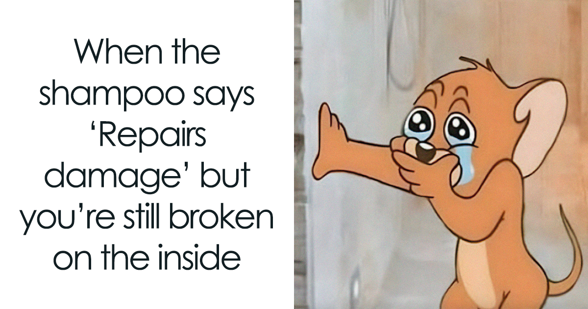 49 Memes That Are So Relatable They’re Actually Offensive (New Pics)