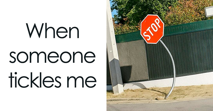 49 Memes That Are So Relatable They’re Actually Offensive (New Pics)