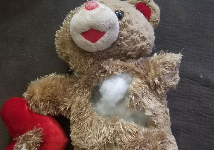 Torn teddy bear lying on a surface representing a woman deciding to destroy child's Christmas presents over charity dispute. Torn teddy bear lying on a surface representing a woman deciding to destroy child's Christmas presents over charity dispute.