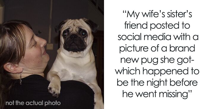 Sister Hates How Woman Treats Her Pug, Decides To Gift Him Away In Secret: “What Can We Do About It?”