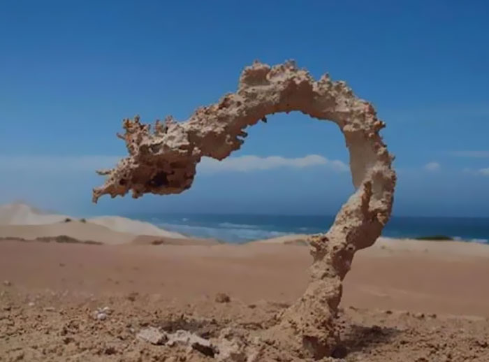 Unique sand formation shaped like a dragon's head on a beach illustrating strange facts about our world.