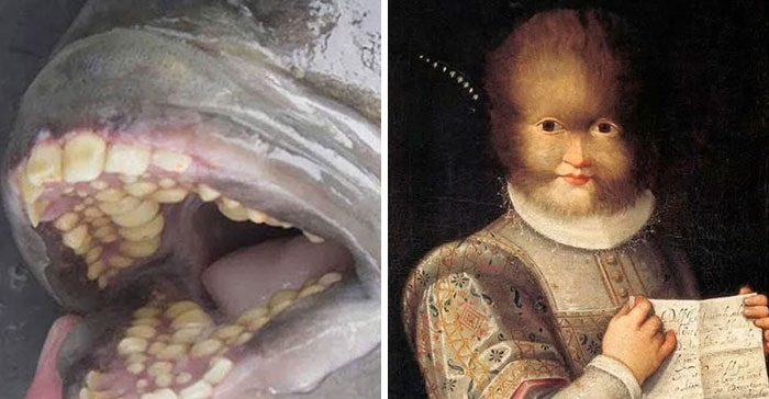 “Google Immediately Fired All 28 Employees”: 40 Stories And Pics That Prove That Our World Is Strange