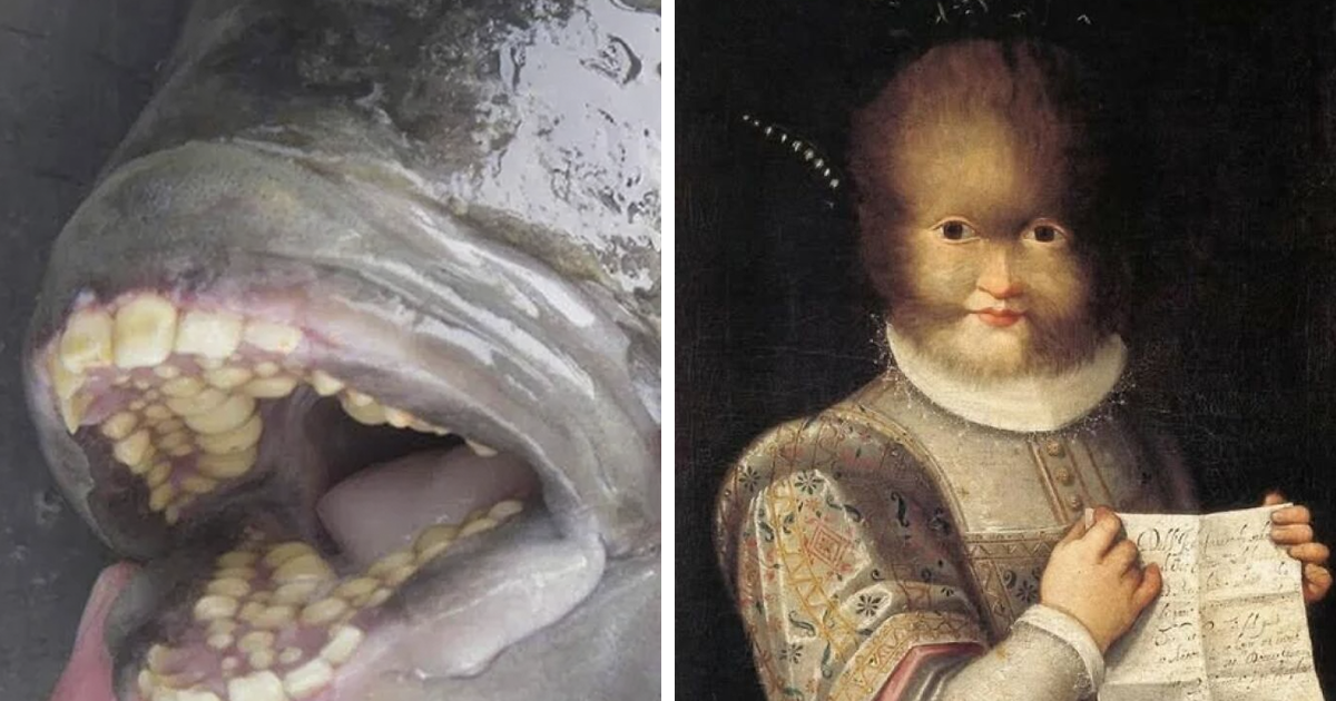 40 Facts, Stories And Pics That Show How Strange Our World Is