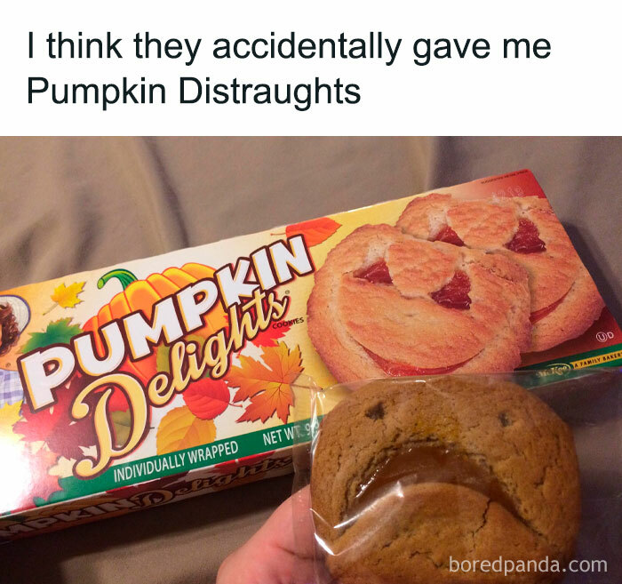 Box of pumpkin delights cookies with a sad-looking cookie held in hand, illustrating stupid food memes for stupid people.