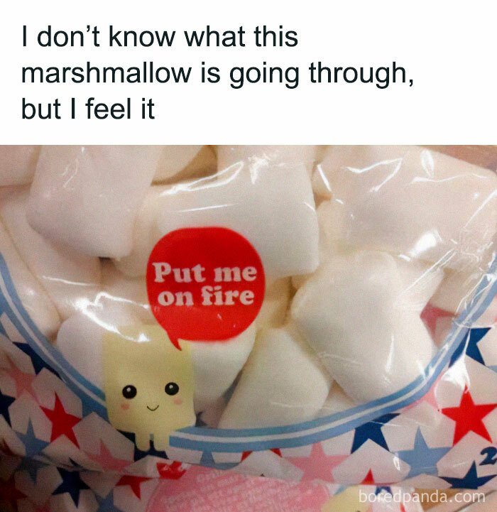 A humorous stupid food meme showing a marshmallow with a speech bubble saying put me on fire.