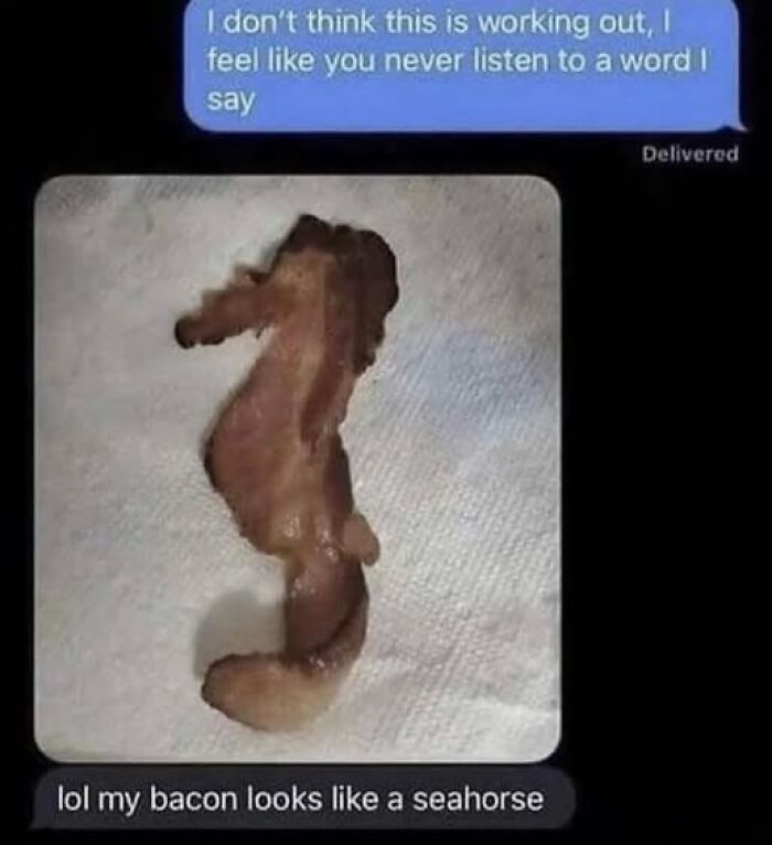 Text message conversation with a bacon strip shaped like a seahorse, illustrating stupid food memes for stupid people humor.