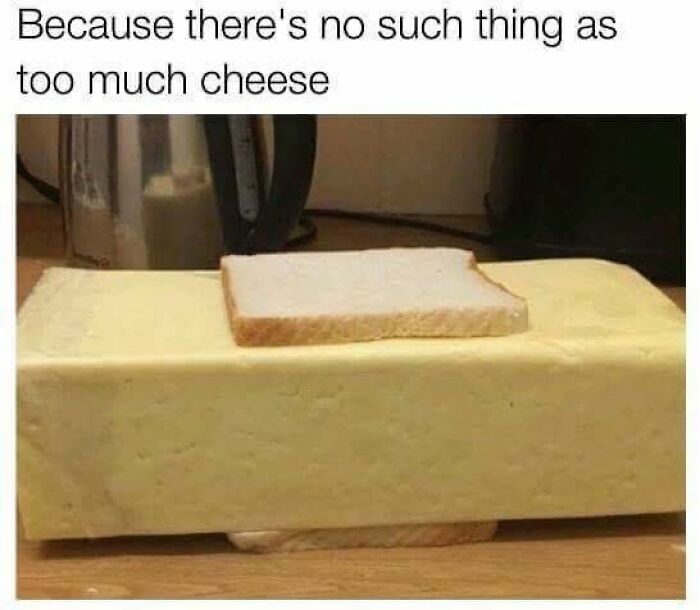 Huge block of cheese with two slices of bread on top and bottom, highlighting humor in stupid food memes for stupid people.