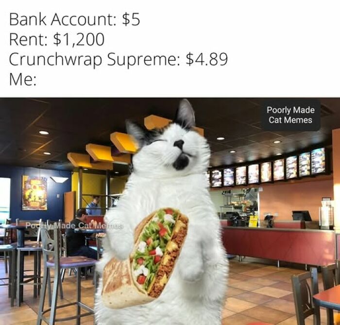 Cat holding a Crunchwrap Supreme in a restaurant, representing funny stupid food memes for stupid people humor.