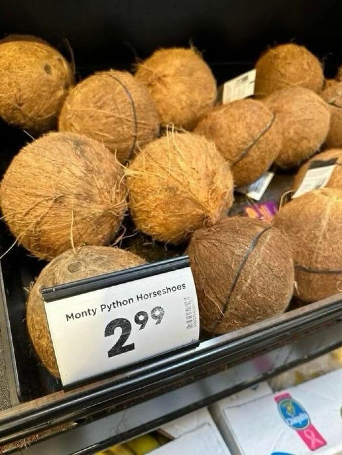 Coconuts labeled as Monty Python Horseshoes in a grocery store, highlighting stupid food memes humor and absurd labeling.