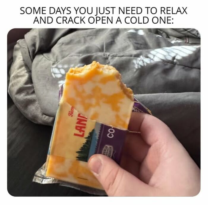 Hand holding a partially unwrapped block of cheese with a bite taken out, illustrating stupid food memes.