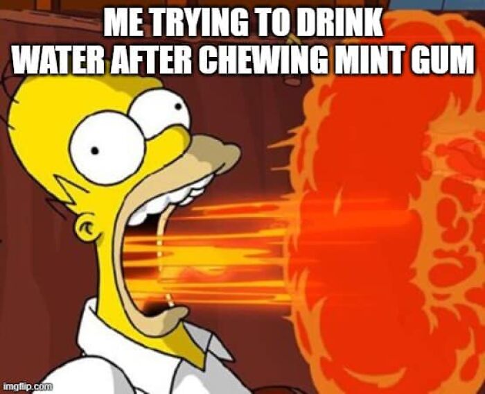 Homer Simpson breathing fire with caption about drinking water after chewing mint gum in stupid food memes.
