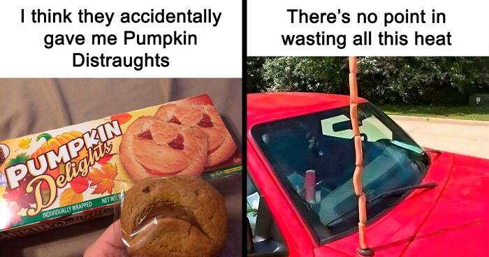“Stupid Food Memes For Stupid People”: 97 Unhinged Memes To Ruin Your Appetite