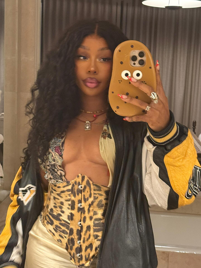 Woman taking a mirror selfie wearing a leopard print corset and jacket, focusing on stretch marks on skin transformation. Woman taking a mirror selfie wearing a leopard print corset and jacket, focusing on stretch marks on skin transformation.
