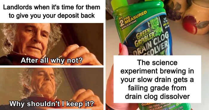 Your Landlord Said No To Renovations, But These 21 Upgrades Are The Next Best Thing