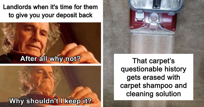 Your Landlord Said No To Renovations, But These 21 Upgrades Are The Next Best Thing