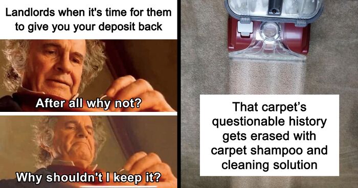 Your Landlord Said No To Renovations, But These 21 Upgrades Are The Next Best Thing