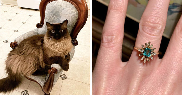 50 People Who Scored Once-In-A-Lifetime Finds While Thrifting