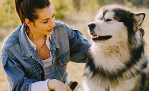 “Pawtism”: Dogs Can Show Neurodivergent Traits According To New Research