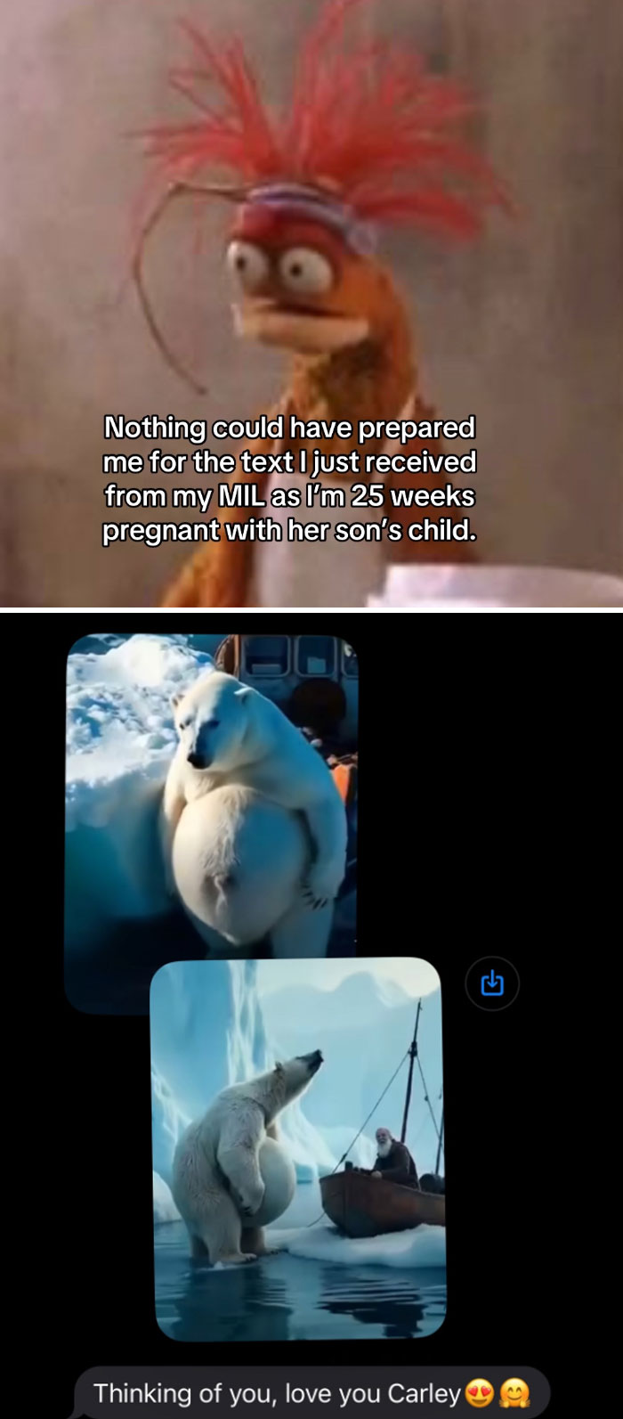 Meme with unhinged texts from MILs, featuring a shocked puppet and pregnant polar bear images reacting to awkward messages.