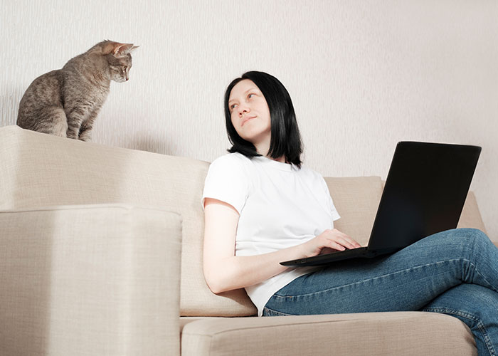 Woman on laptop sitting on couch looking at cat on sofa backrest, illustrating strange things neighbors accidentally saw.