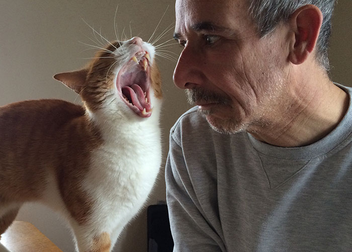 Man and cat face each other closely with cat's mouth wide open, capturing one of the strangest things neighbors do accidentally seen.