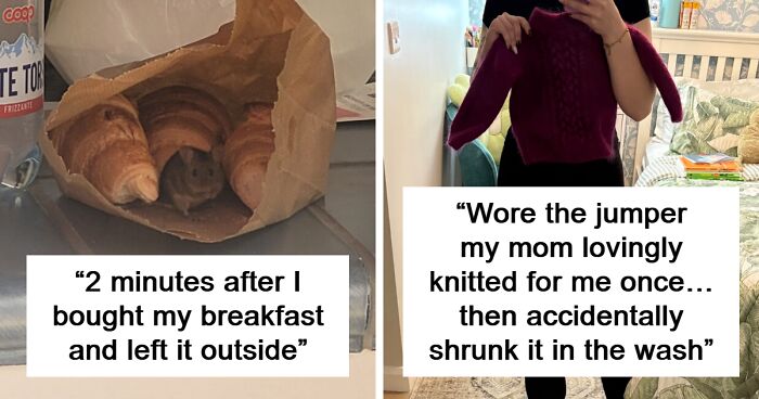 If Today Feels Like A Total Mess, Here Are 96 Photos To Remind You It Can Always Get Worse (New Pics)