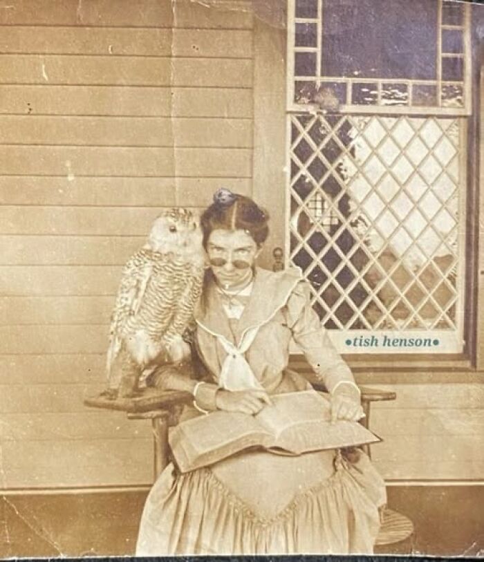 Woman in Victorian-Edwardian pictures seated with a large owl on her arm, reading a book outside a house with lattice windows.