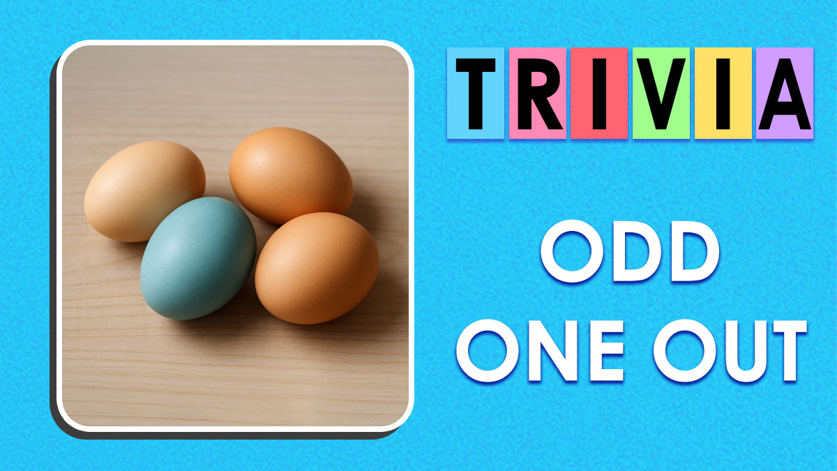 Four eggs on a table with one blue egg among brown eggs, illustrating odd-one-out visual thinker trivia challenge.