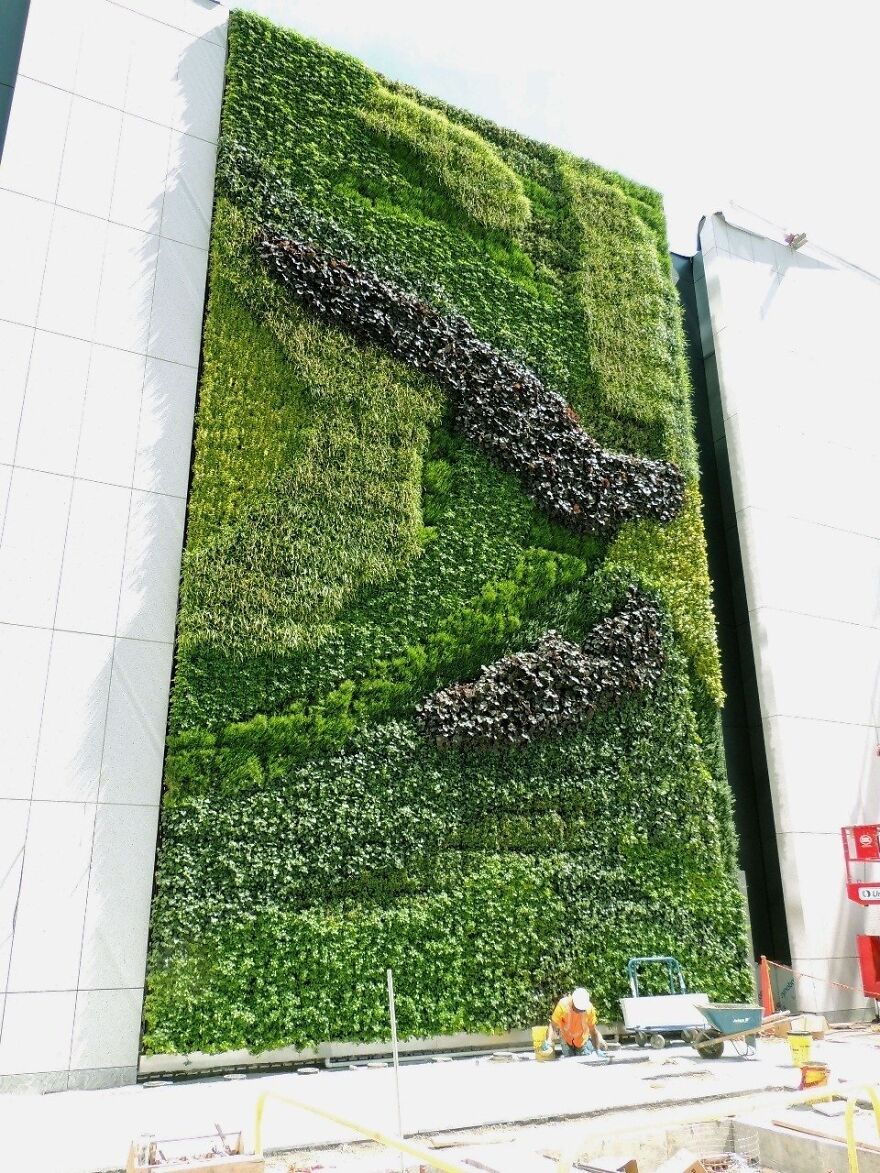 Elemеnt Fountаin & Watеr Featurе Dеsign Elemеnt Fountаin & Watеr Featurе Dеsign