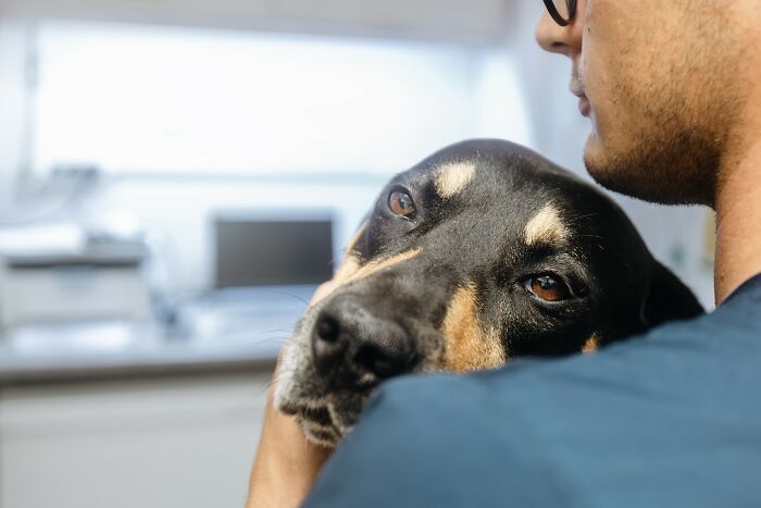 Person comforting a sad dog, representing emotional support for people having a hard time with cancer.