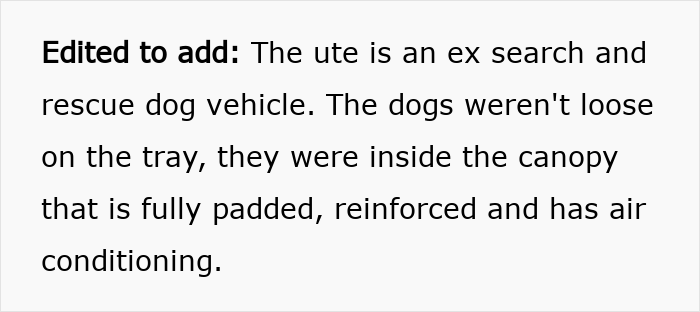 Ute vehicle with rescue dogs inside padded, reinforced canopy showing nurse prioritizing dogs and baby during car crash incident Ute vehicle with rescue dogs inside padded, reinforced canopy showing nurse prioritizing dogs and baby during car crash incident