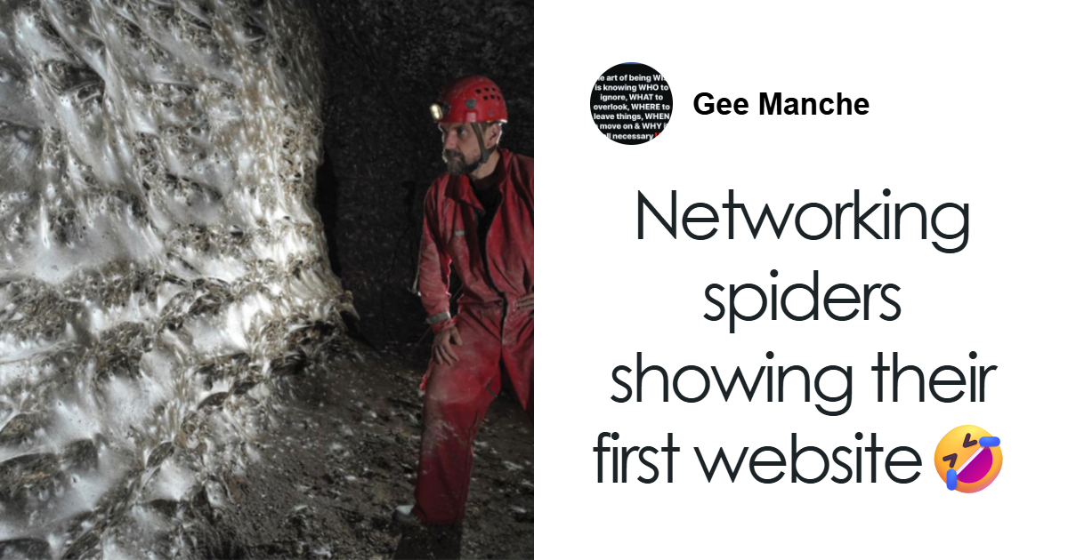 World’s Largest Spider Web Found In Albania, And Arachnophobes Are Calling It “Nightmare Fuel”