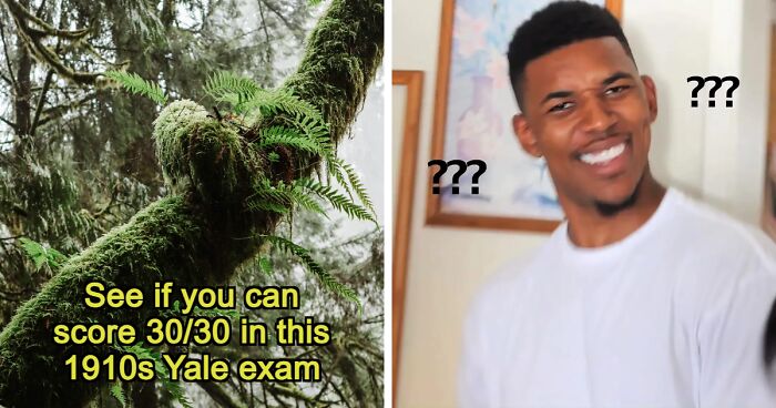 “Would You Have Gotten Into Yale 100 Years Ago?”: Test Yourself With 30 Entrance Exam Questions