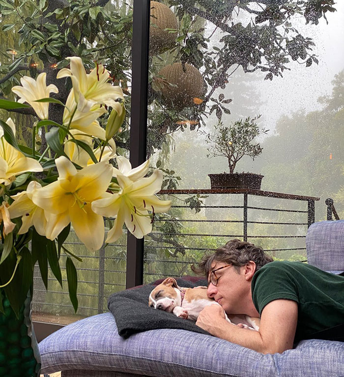 Man lying on couch cuddling a small dog near large yellow flowers and rainy window, reflecting Florence Pugh age gap with ex Zach Braff. Man lying on couch cuddling a small dog near large yellow flowers and rainy window, reflecting Florence Pugh age gap with ex Zach Braff.