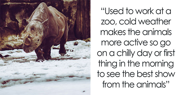 “The Zebras Are Ruthless”: 46 Unexpected Secrets Only Zoo Employees Know