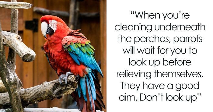 55 People Who Have Worked in A Zoo Share Things That Non-Employees Might Not Know