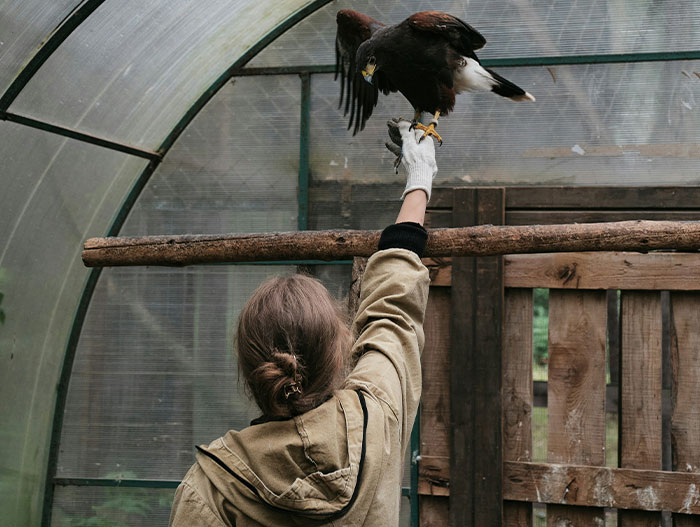 “The Zebras Are Ruthless”: 46 Unexpected Secrets Only Zoo Employees Know