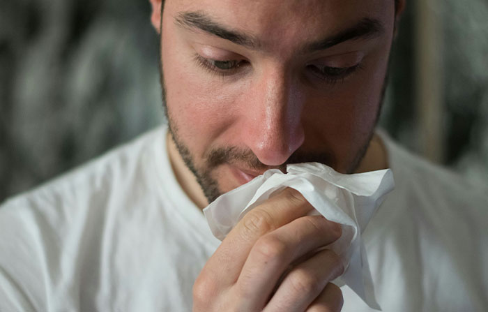 “The Zebras Are Ruthless”: 46 Unexpected Secrets Only Zoo Employees Know