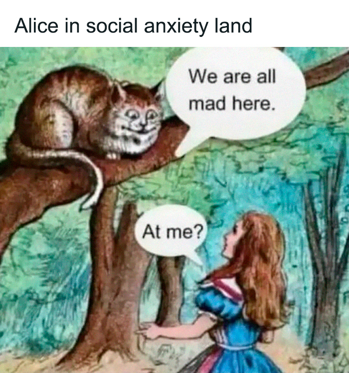 Alice in social anxiety land meme featuring the Cheshire Cat saying we are all mad here in a forest setting
