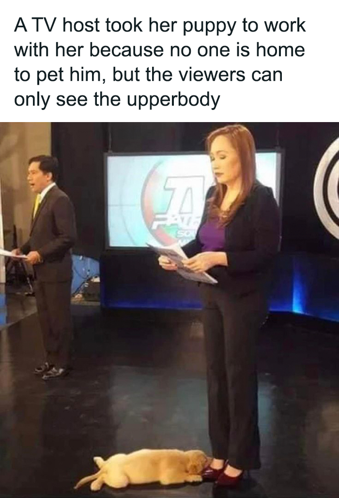 TV host standing on set with her puppy lying on the floor, showcasing a cute dogs posts moment during the broadcast.