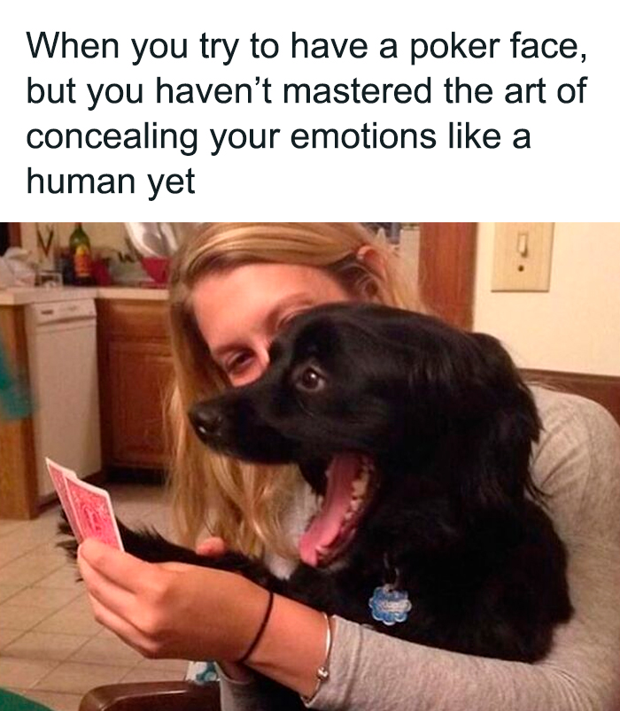 A woman holding playing cards while a black dog looks surprised, perfect for cute-dogs-posts.