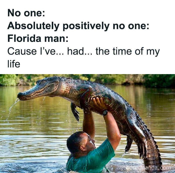 Man in water holding an alligator above his head, a cute and sweet animal meme to give you a reason to smile today.