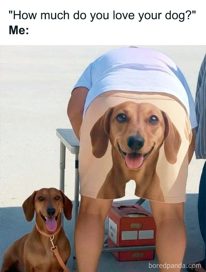 Person wearing shorts with a dog face print, posing next to a real dog in a cute and sweet animal meme.